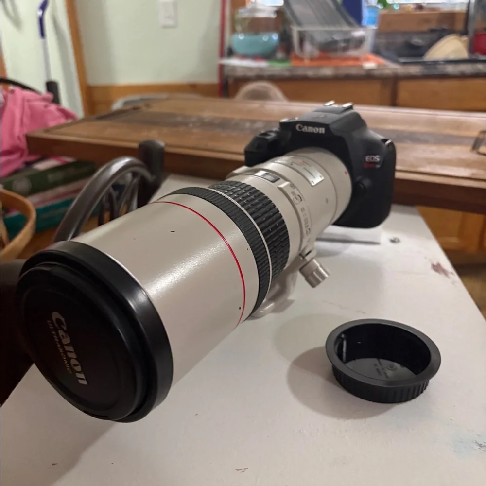 Canon White Telephoto Zoom Lens with Black Accents